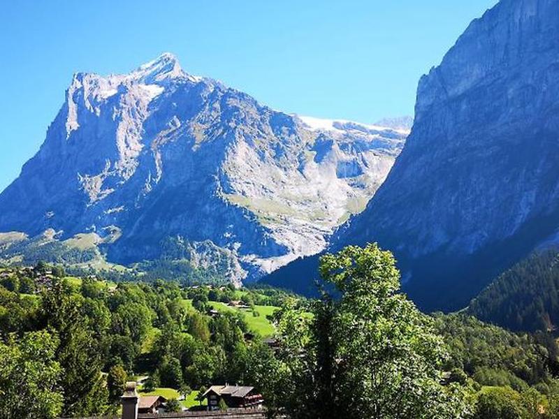 E64700D267FFBD3C5DC7DE79609B3419