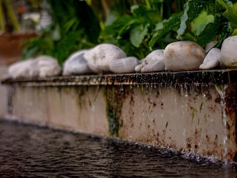 F10A4AB1267FD0002B911EE92443E737