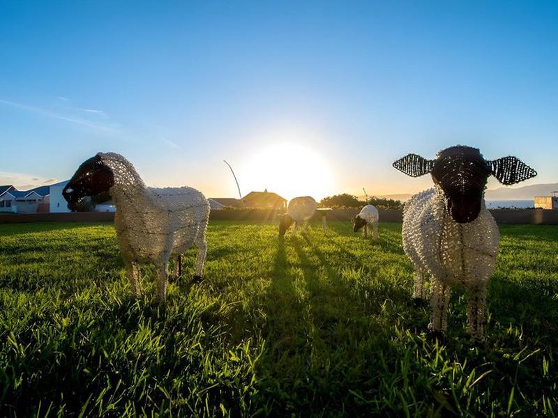 3DD9F5D2BE8DED456B688D5692F9C359