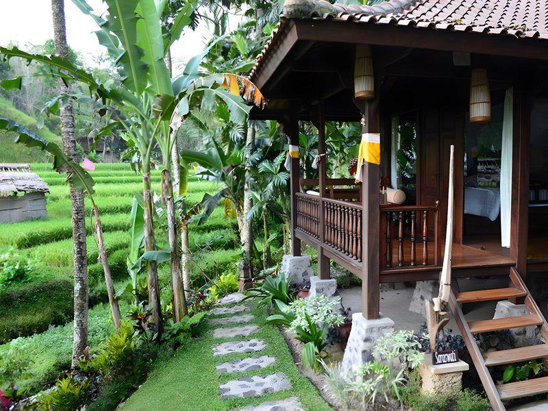 1A339B783EB56600145AF53839C2D58E