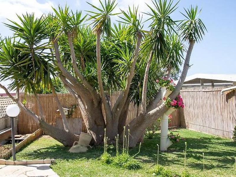 BFDD2F603FF0C3AE7A5237292409627C