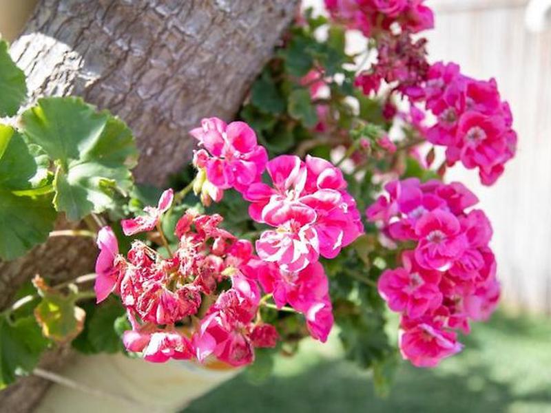 8D3355225D61A455338516F0C8A36EC7