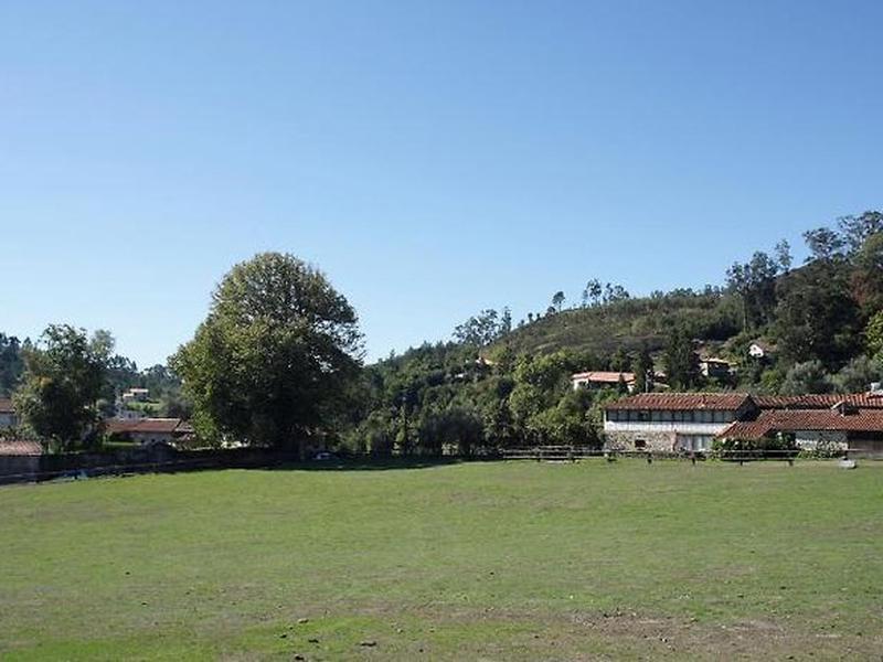 605D40869BB5E83BD6AC82D9F1486EC5