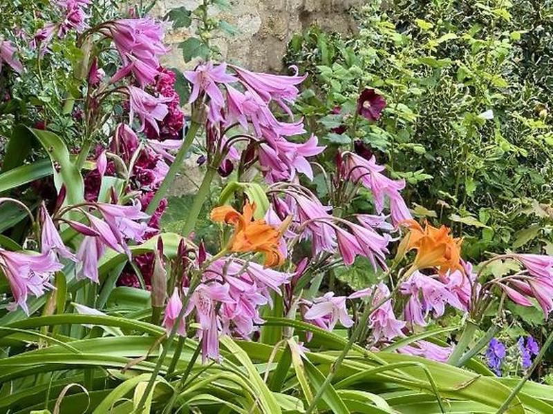 4FC052B14E53B8029DC67145940593BD