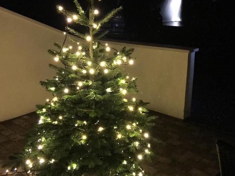 59B7D37B896B460E708F3F6ACFF16447