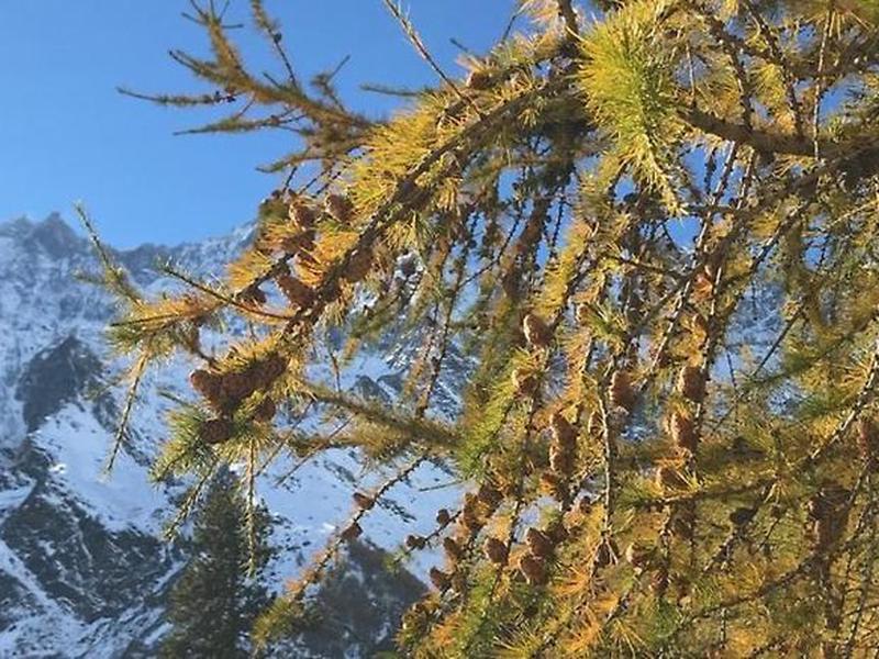 CA9C9ABFD96ADD88F97DB0A665E4FDC8