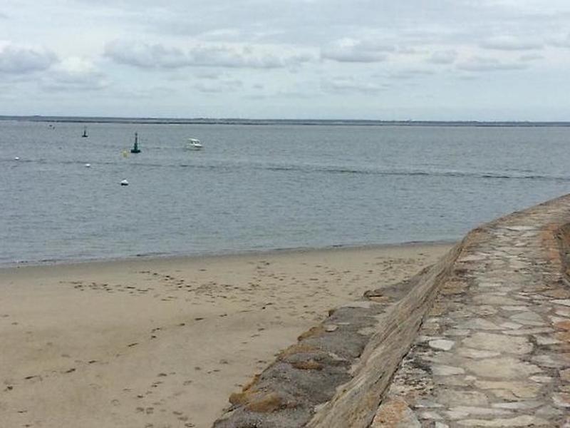 A8C4CAE17F2E856EF00DC473858E45CF