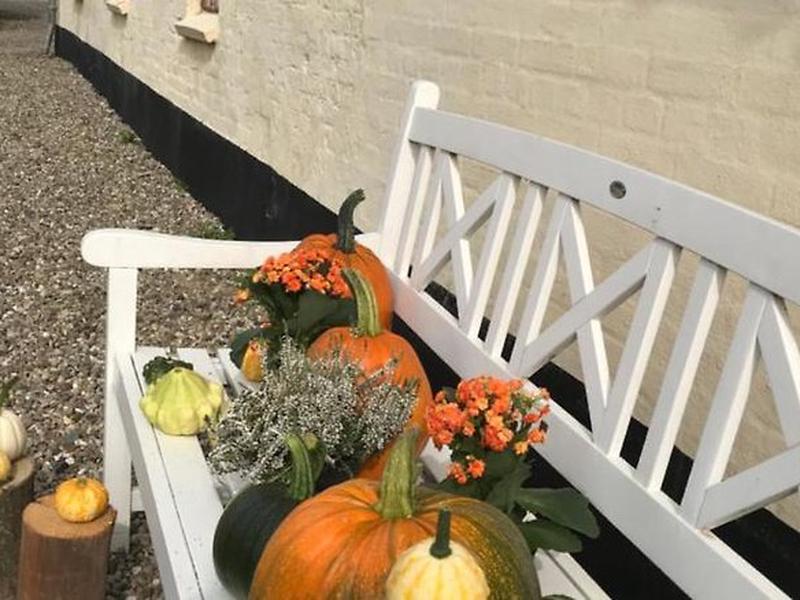 4D05156111F0202EBA33E06A3B31E246