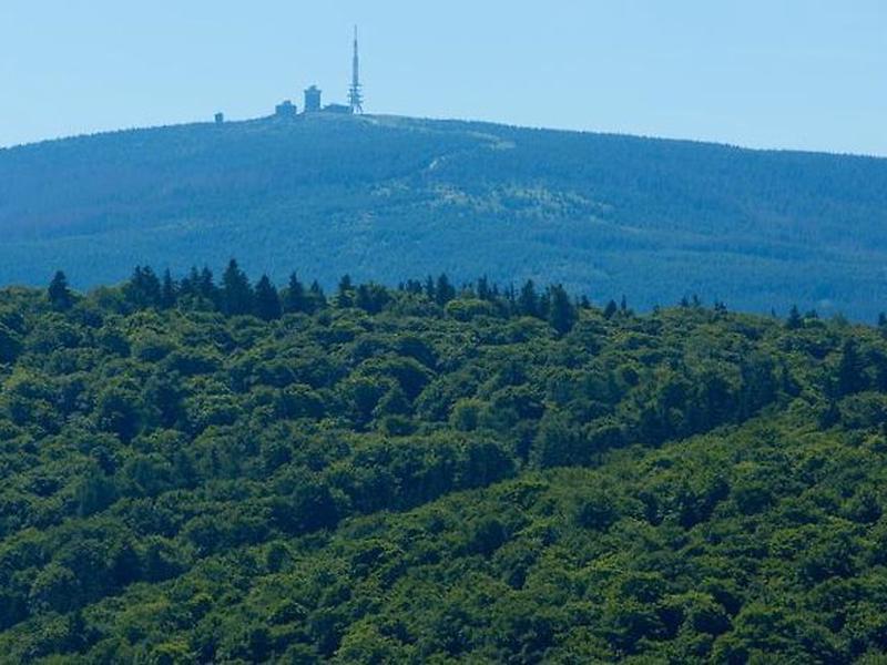 C0E5C49EA33C5D6CC1B74FA25DAB26F9