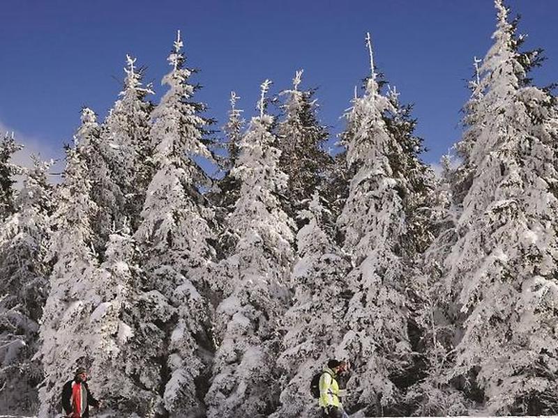 5F60B72D23016184DBFF12BAA139B873