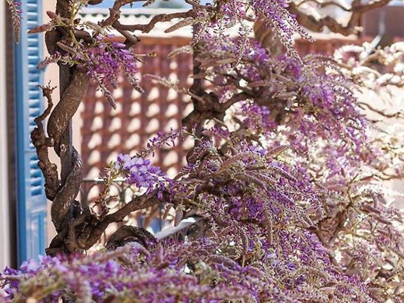 C49119DA2B302B2AB35B6C55C42175B0