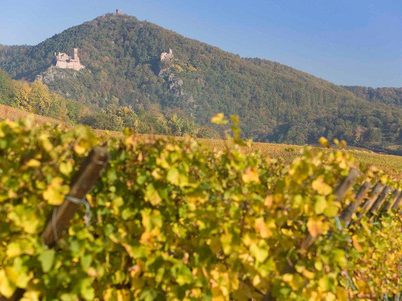 3E967DAA0EABB7CE7B38E14CCA412BD0