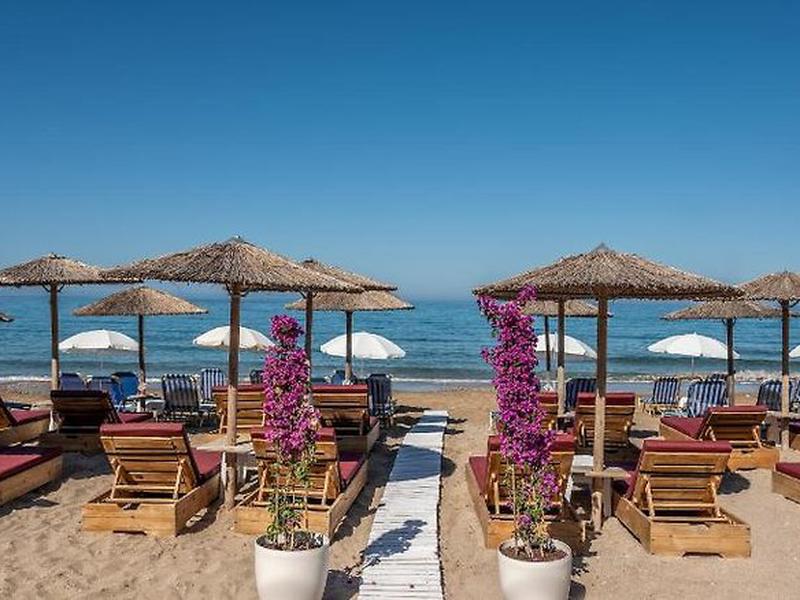 446B1C51DD3D63ED0BA35BEA730D024A