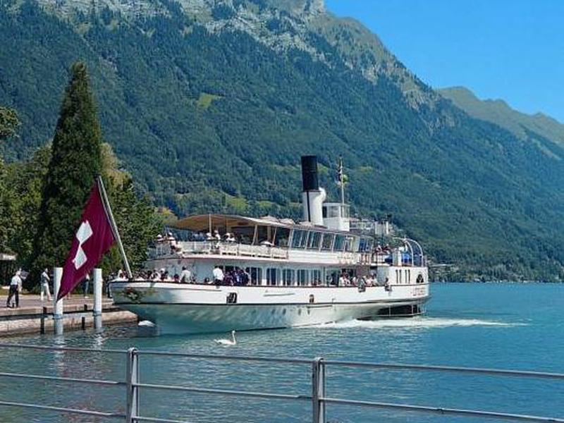 1CA3B0E843D2ED9E02D09B0C4F17F4E8