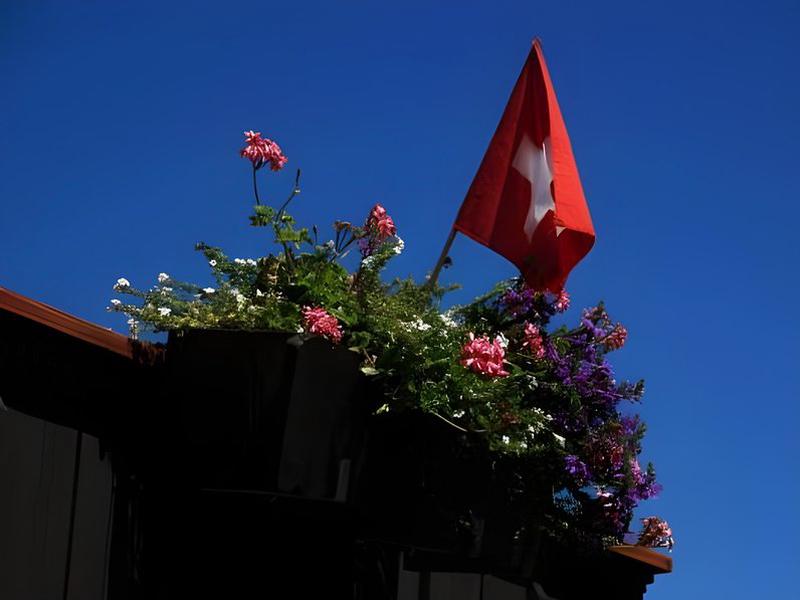 BBFAB7767279296AC9FDF492F5E13CFE