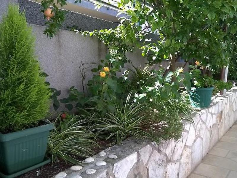 F6766F5F6C93BE6CED8902D125188672