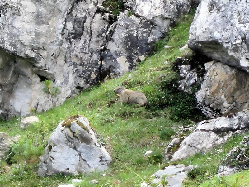 CE37E5D94672D7A3DFB121ED561B067B