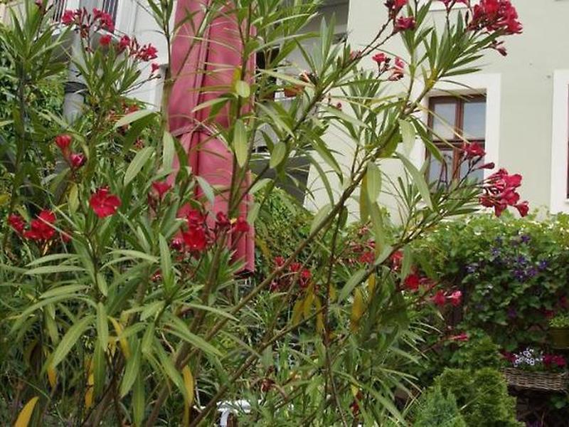 2FA94D94C814C78955F90F309A1A5598