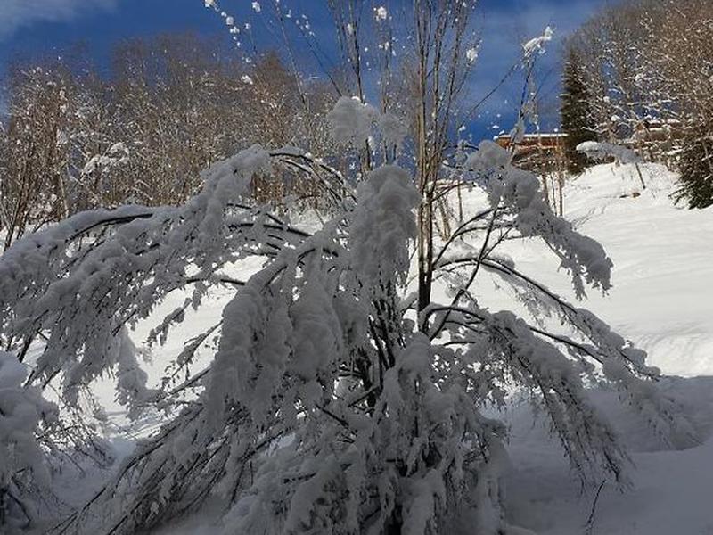 D1C8D1C8CBF3E1A1904E3736F62E0176