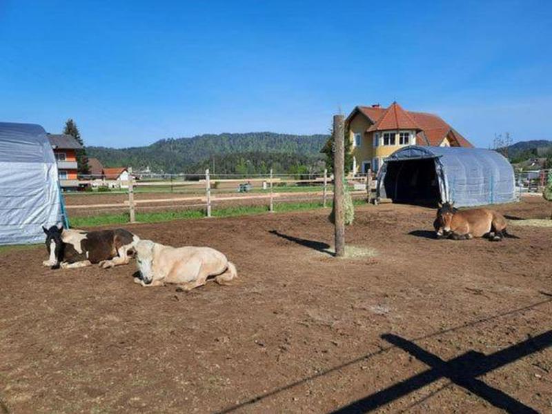 0B75940B6B3E81A7D3115E3023972FFC