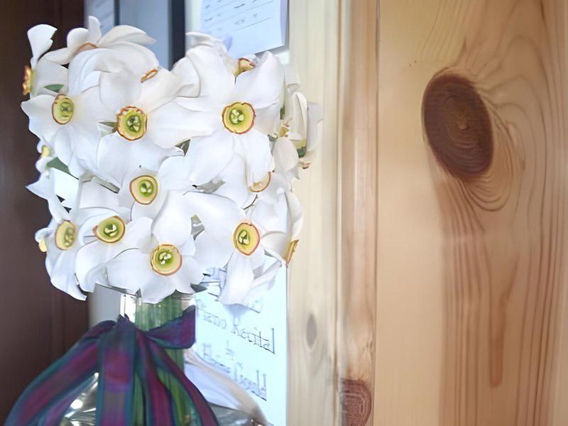 2876027AB5DDB7E758FDE4D6FF50287D