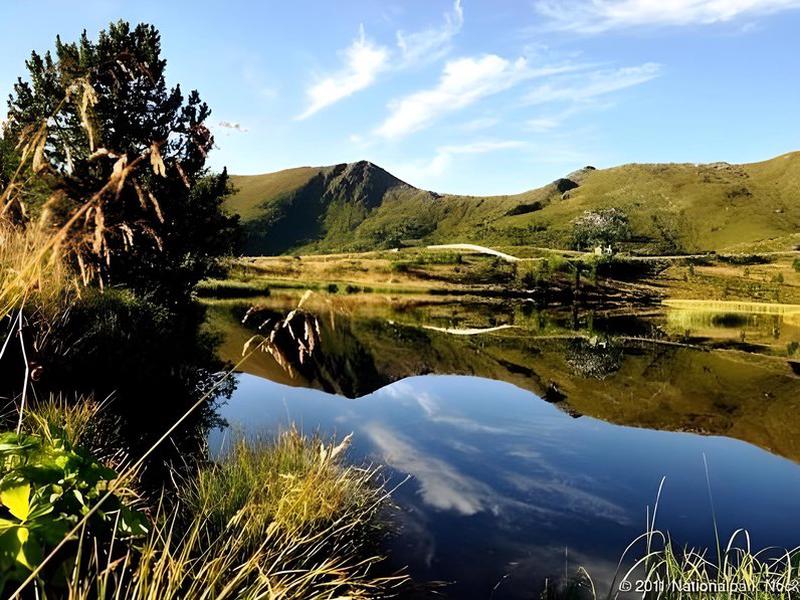 FE5776C638F908222108AC13A08F6F4B