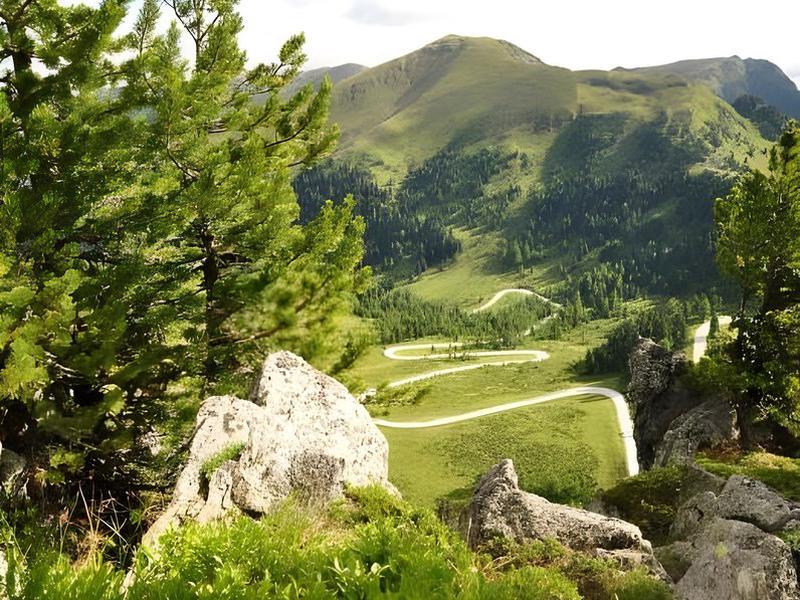 566523C0B6DDE33D395DD7F89691A042