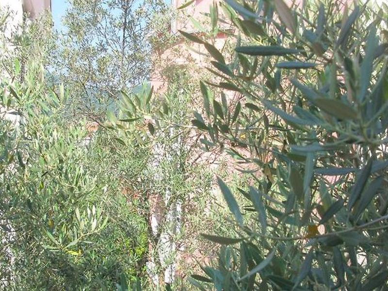 720908B0B2A0D7118B1D0096895DFA9D