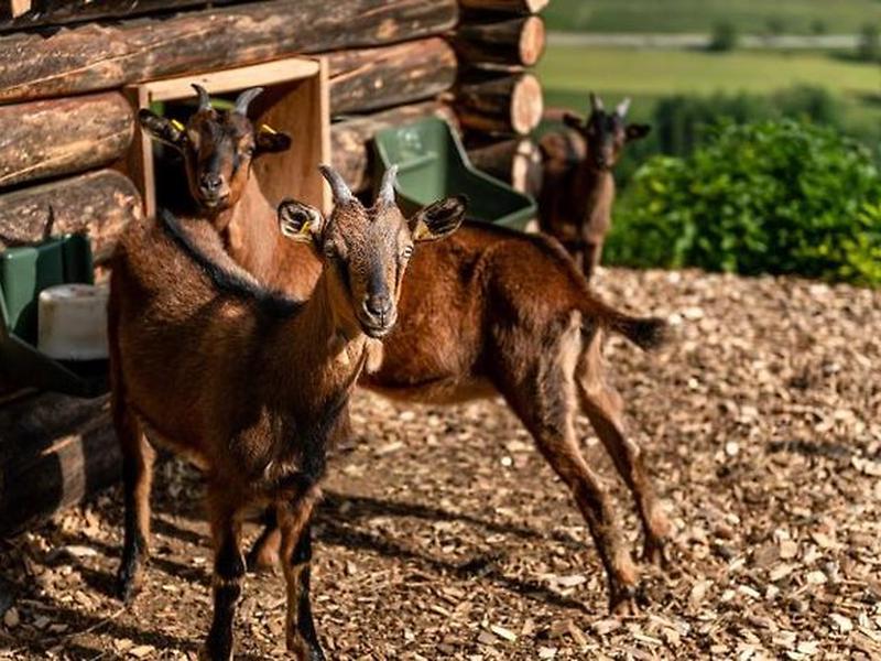 C97D8BBFB7BEA66486FCFD644A93EFC6