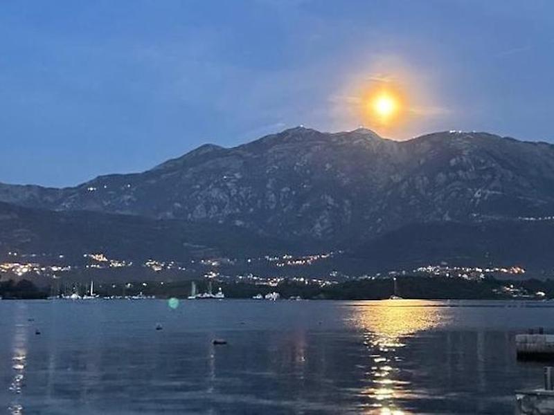 9C3798B344A287126215F7C490D3120F