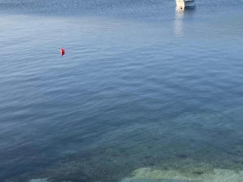 8CA643D35A73965D71CE5ACAC28B6EF6