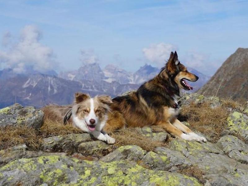 FB5D3E2FD42C068CB82A8D4C07D9619E