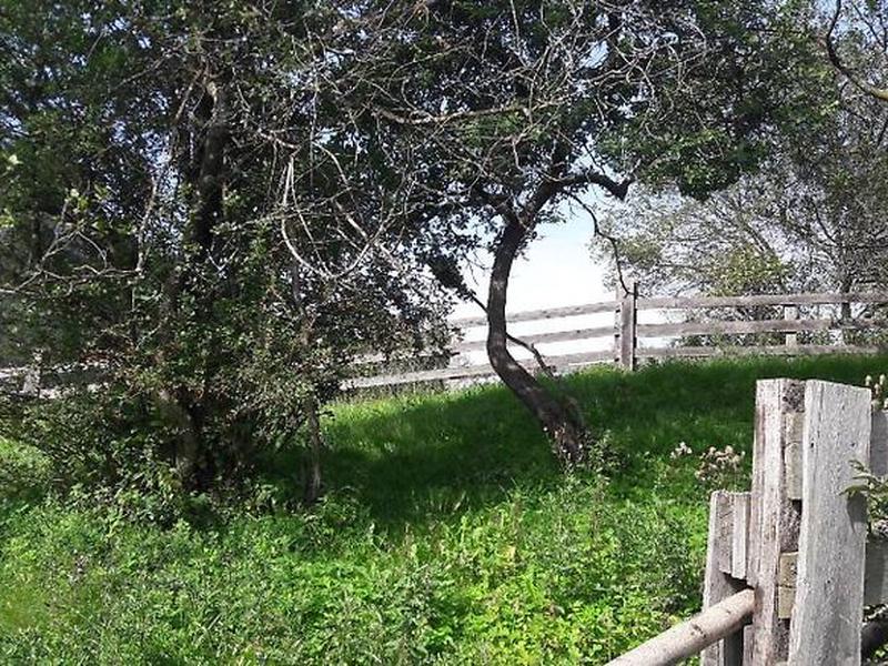 027E50DD214D76135B54F3D7CB06C936