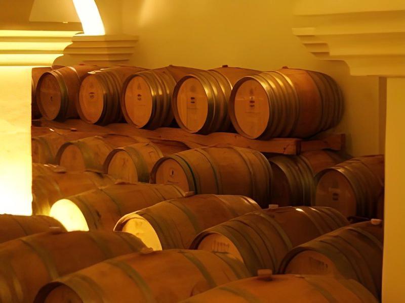 CB0D1C87245244779E6E14FFCD4881E1