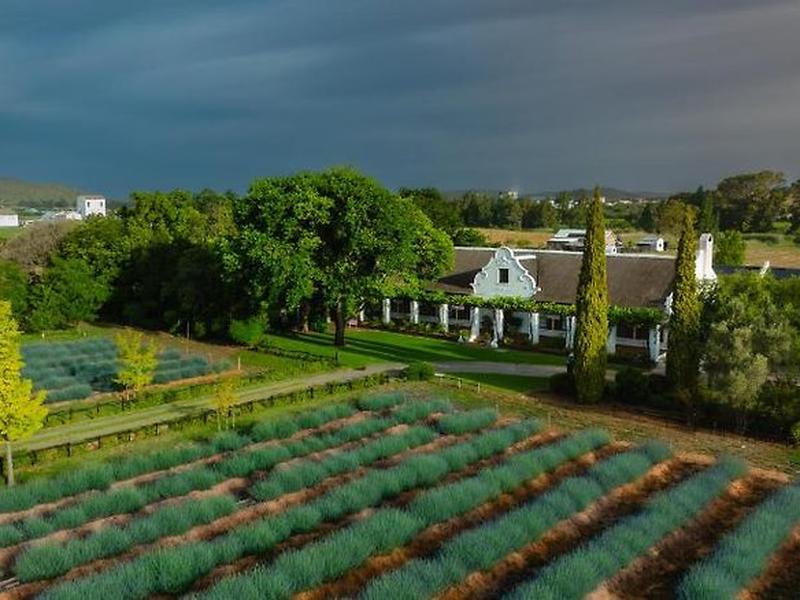 F2A3F98FA8E44C6FF0231EC7312CCDFE