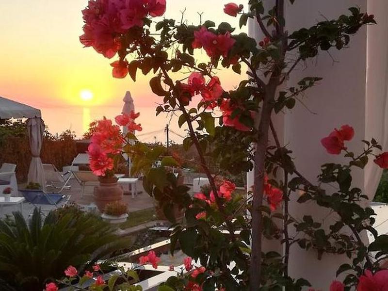 47A858CC4597370D4FABC482C746099B