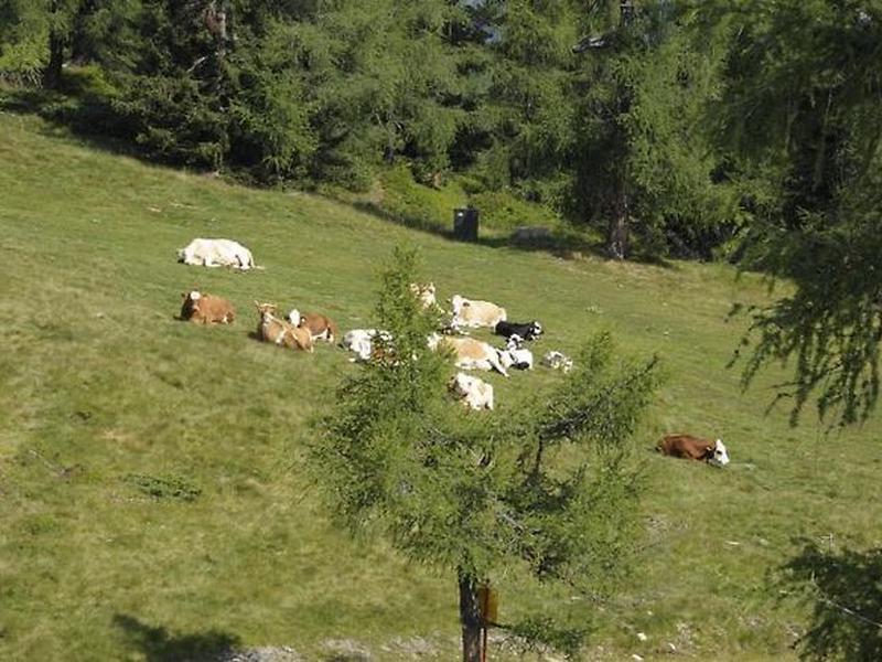 C0671F6DC2FB038EFA32764FE11F6827