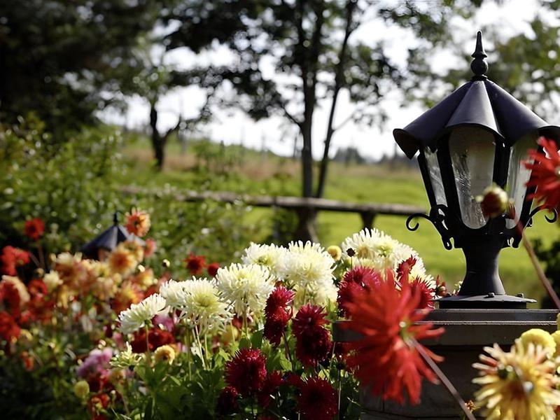 C9C10CF6D6EC340EBC74A9301A0E6040