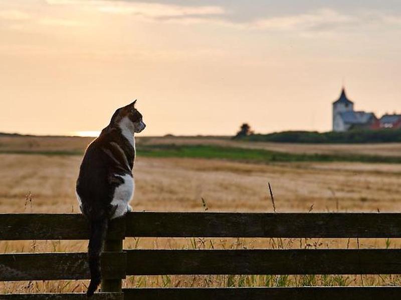 A6DD6AD8668D0B157FB6320AE5AA8876