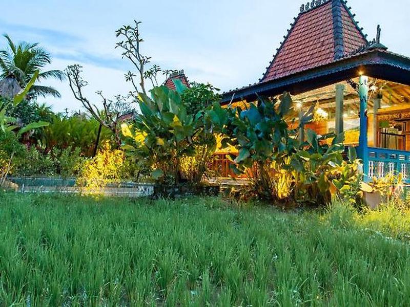 01854BC3B1723C1836A3750733553578