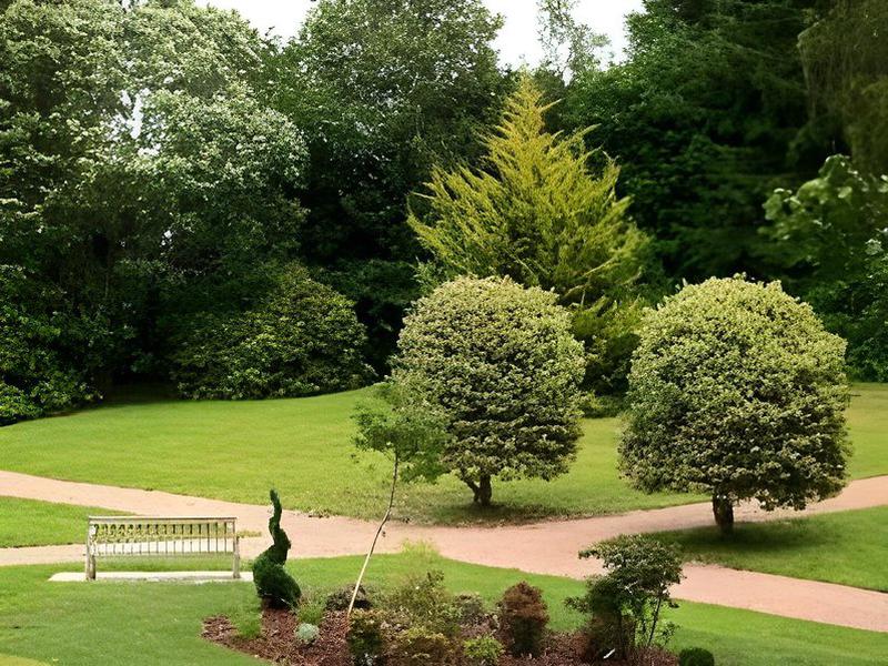 1633805679BE0BE08161AFE4C461B54D