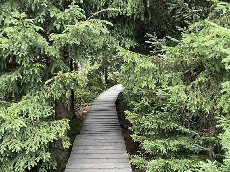 D2C3F4091057AE82D2662B4DB5727296