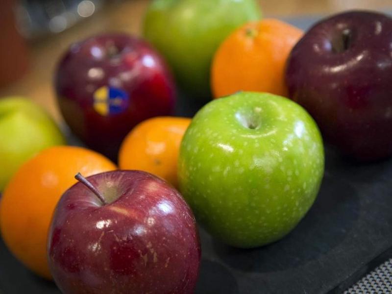 05AEB12E0B3A482CE557A0C765228057