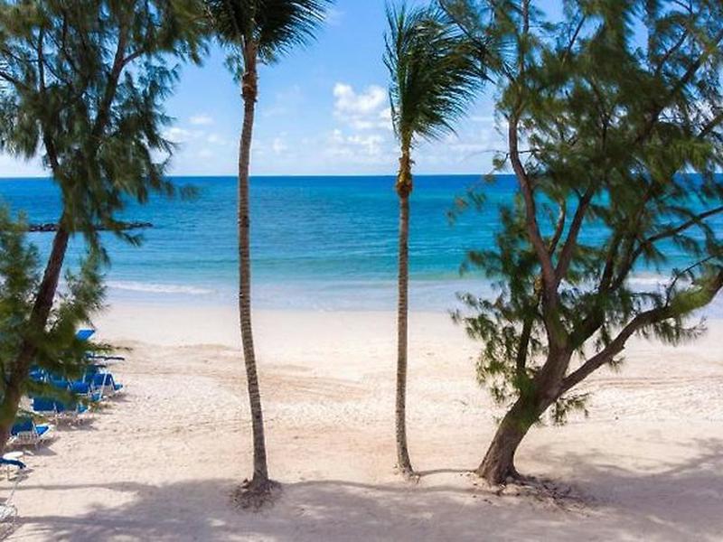 84591D70CED660957EA61F6E063ECCCE