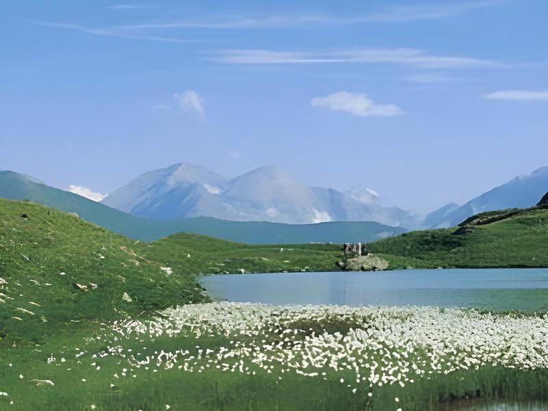 E8C51AC0CDD6692FB04259847C36D800