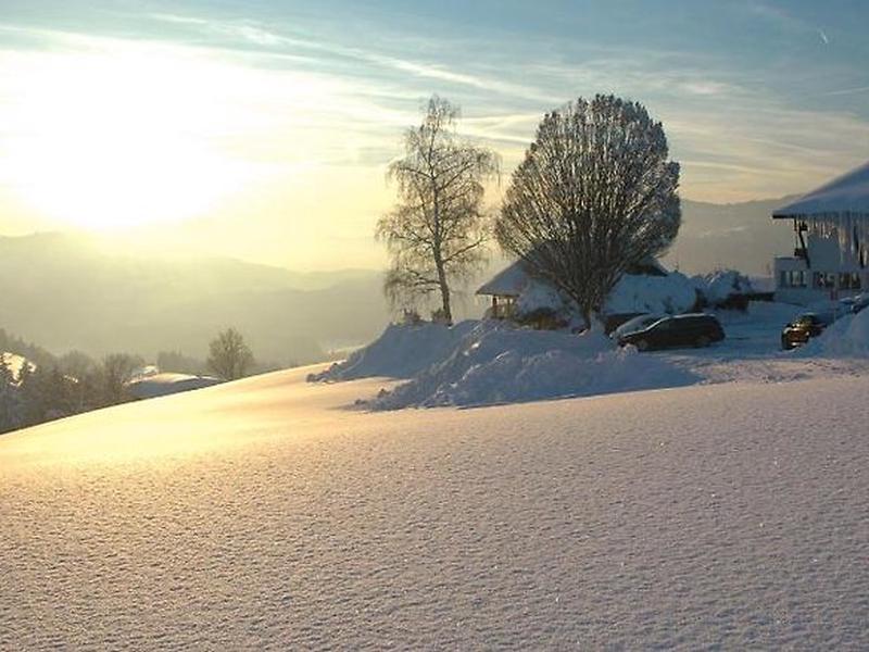 D7246687718B7B5335B026ED4233517D