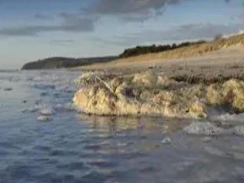 93DAA109AEA3BE222CDA8437AA2C12E0