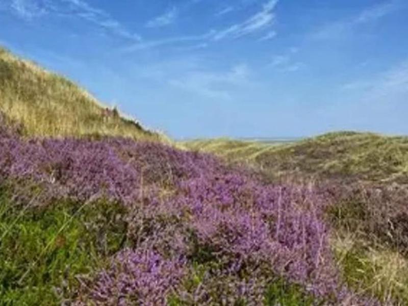 4E5416D32D3C1FCD083AD1EACFC9AB08