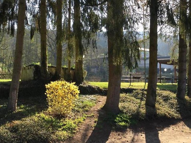 8BEDB3D7CDBE74E0F6B6322BC7920D54