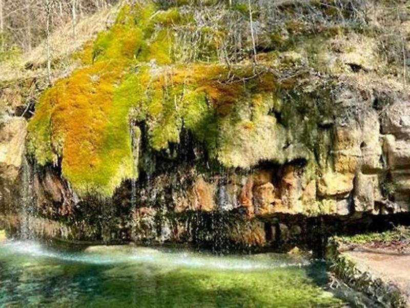 44B9A8561DF918E1EE743010CBD59610